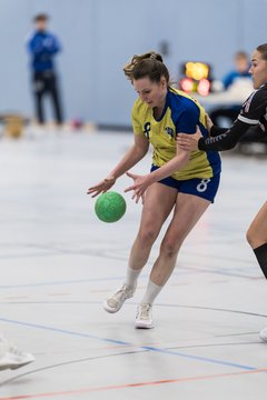 Bild 57 - F HSG Pinnau2 - Rellinger TV2 : Ergebnis: 27:20